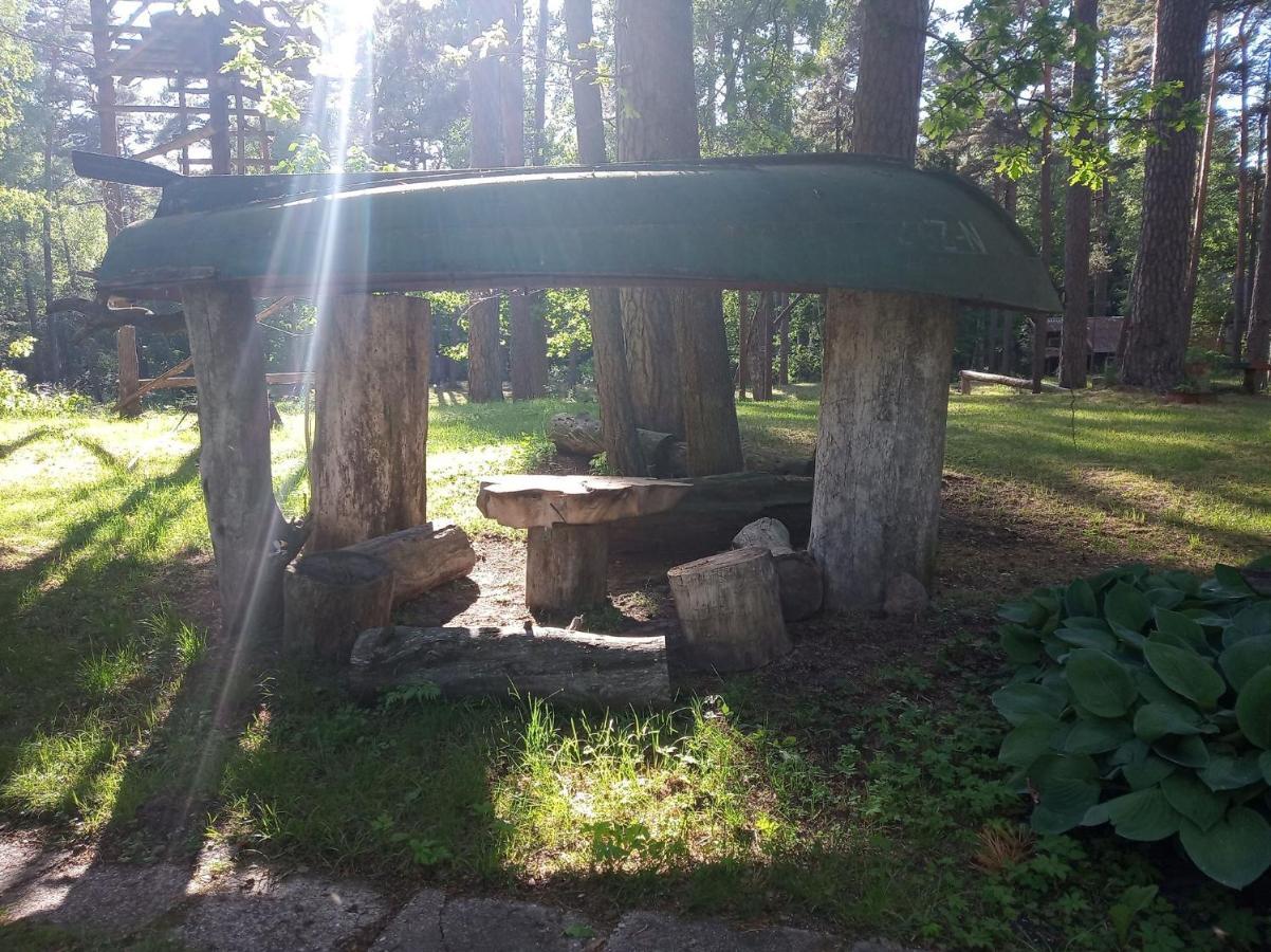 Vila Asmonu Poilsiaviete Kinty Exteriér fotografie