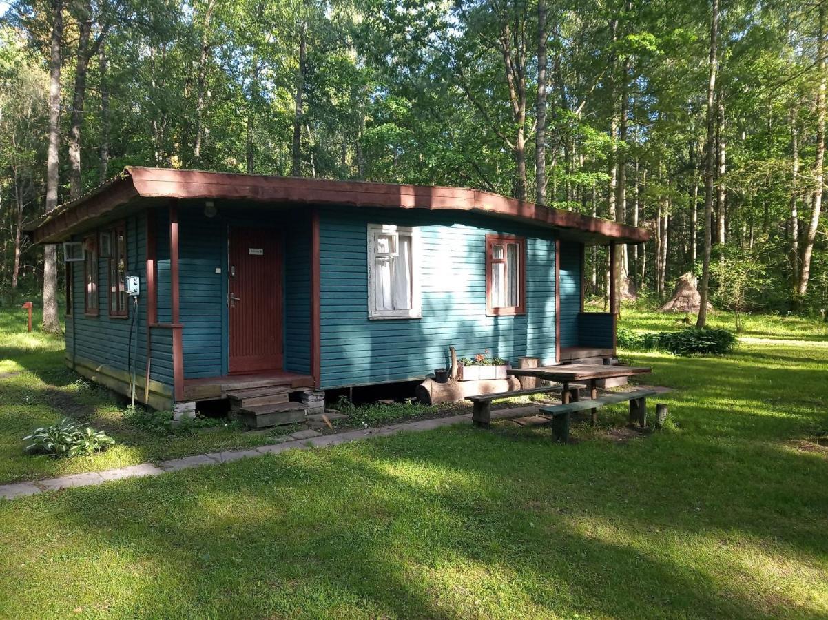 Vila Asmonu Poilsiaviete Kinty Exteriér fotografie