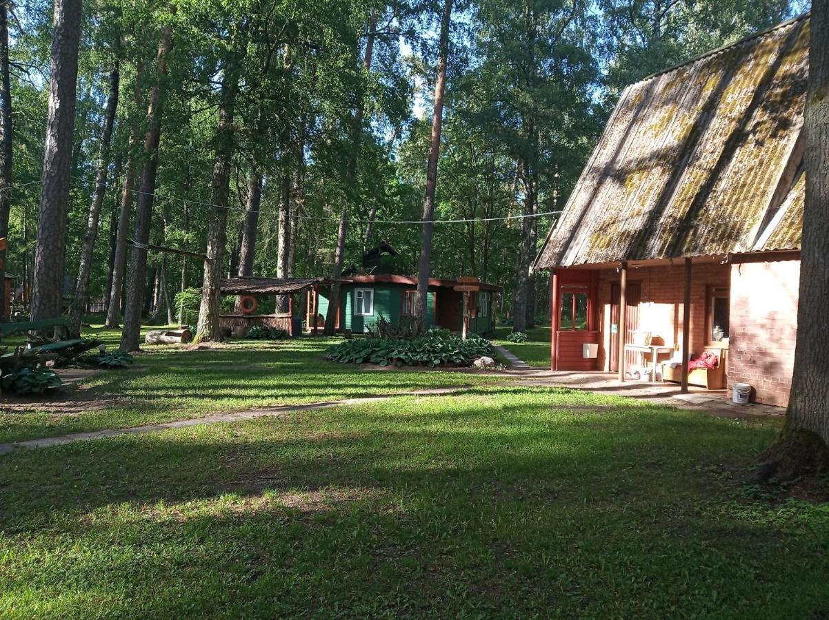Vila Asmonu Poilsiaviete Kinty Exteriér fotografie