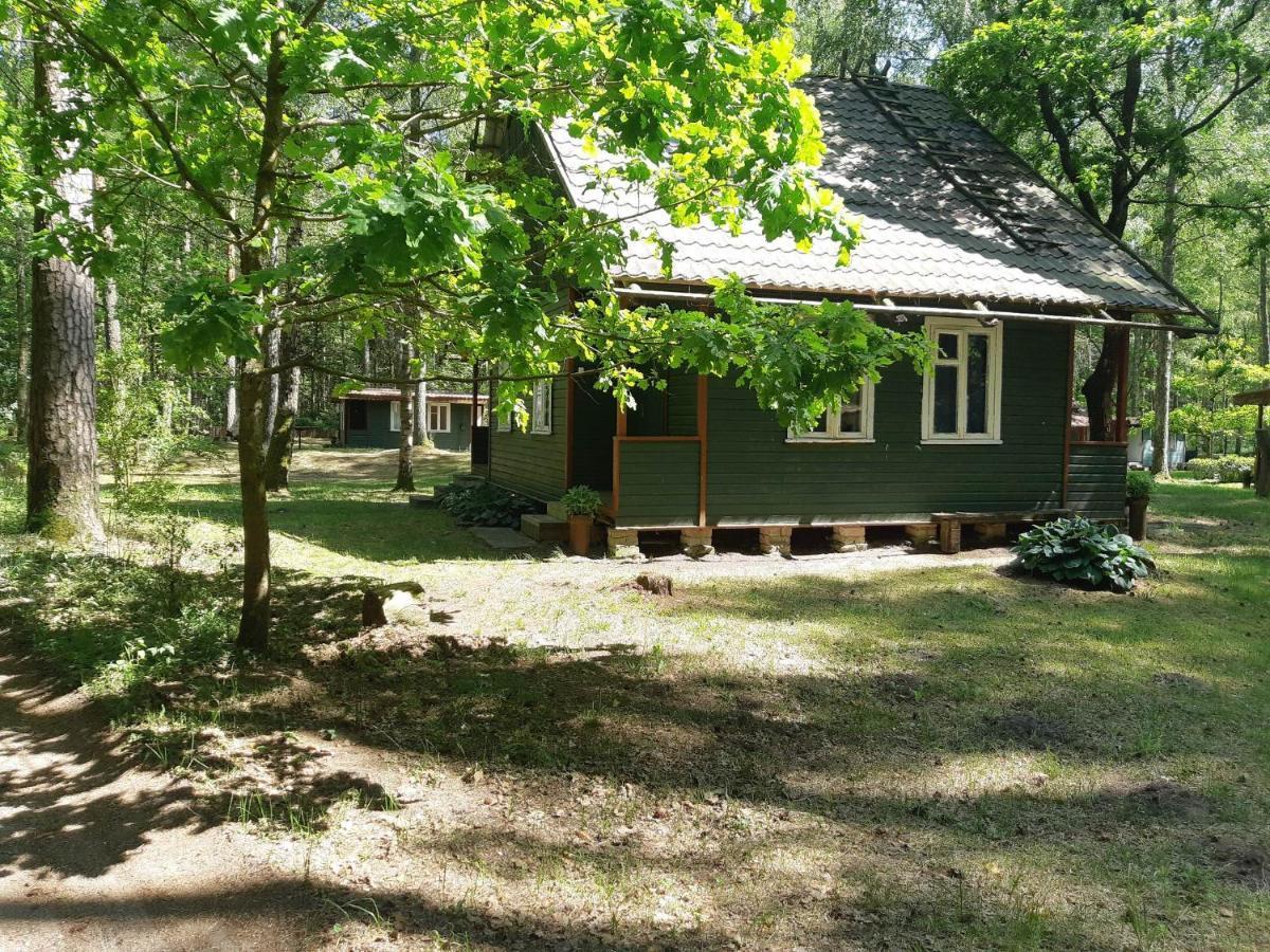 Vila Asmonu Poilsiaviete Kinty Exteriér fotografie