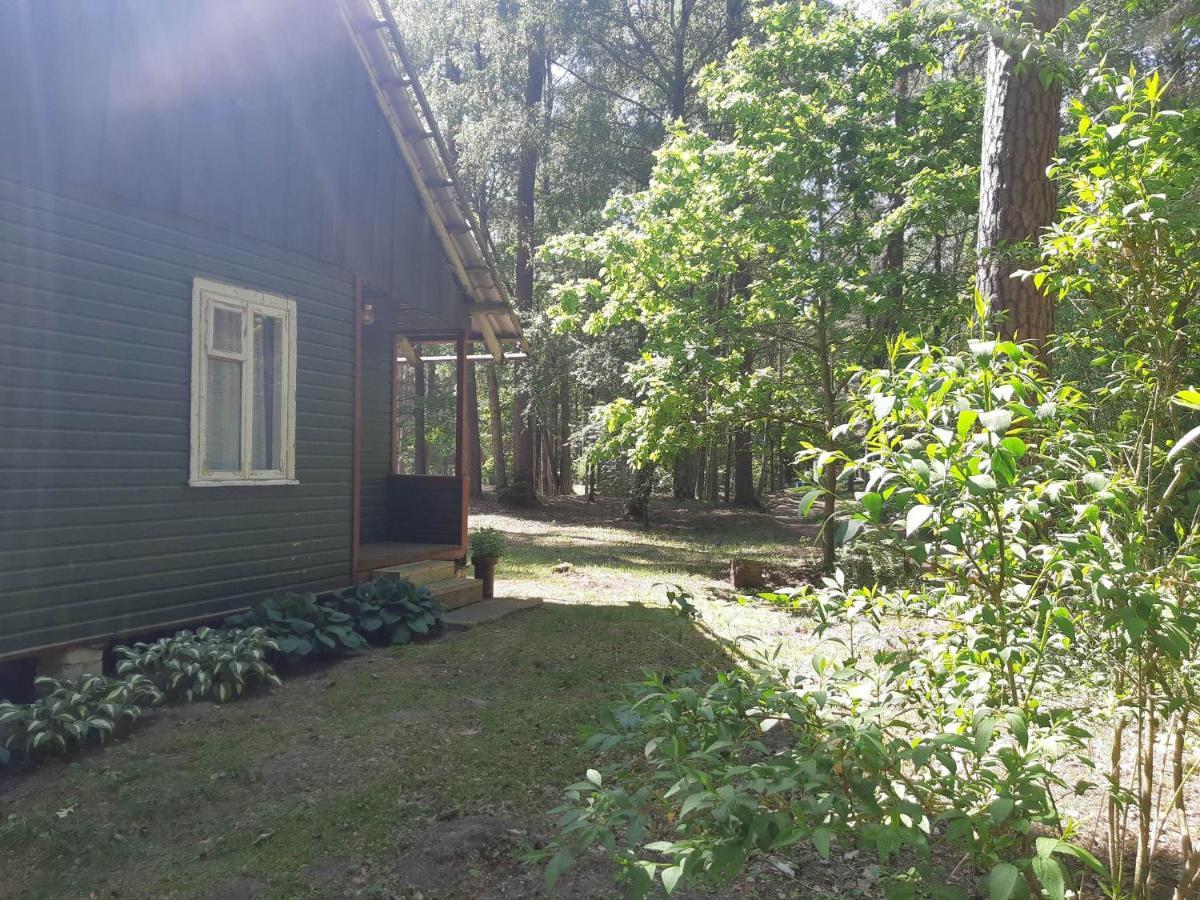 Vila Asmonu Poilsiaviete Kinty Exteriér fotografie