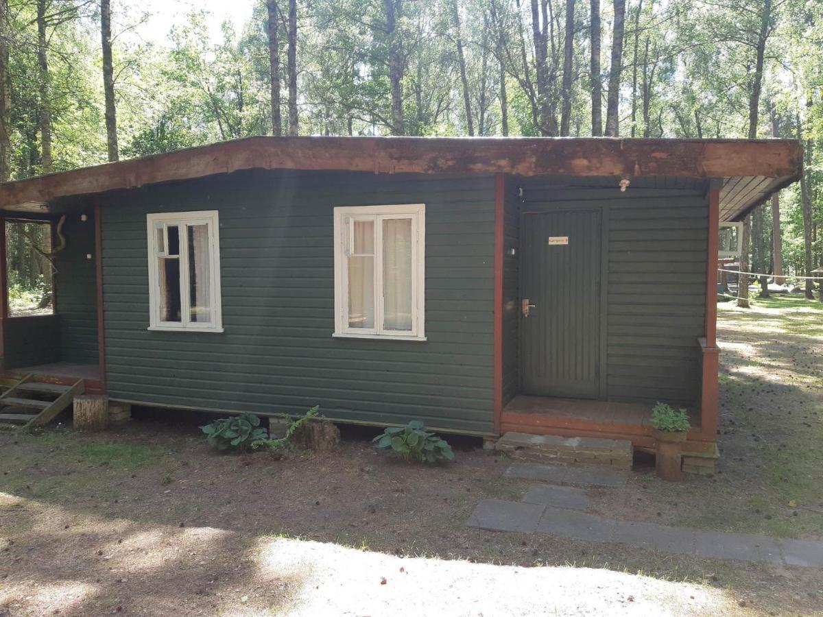 Vila Asmonu Poilsiaviete Kinty Exteriér fotografie