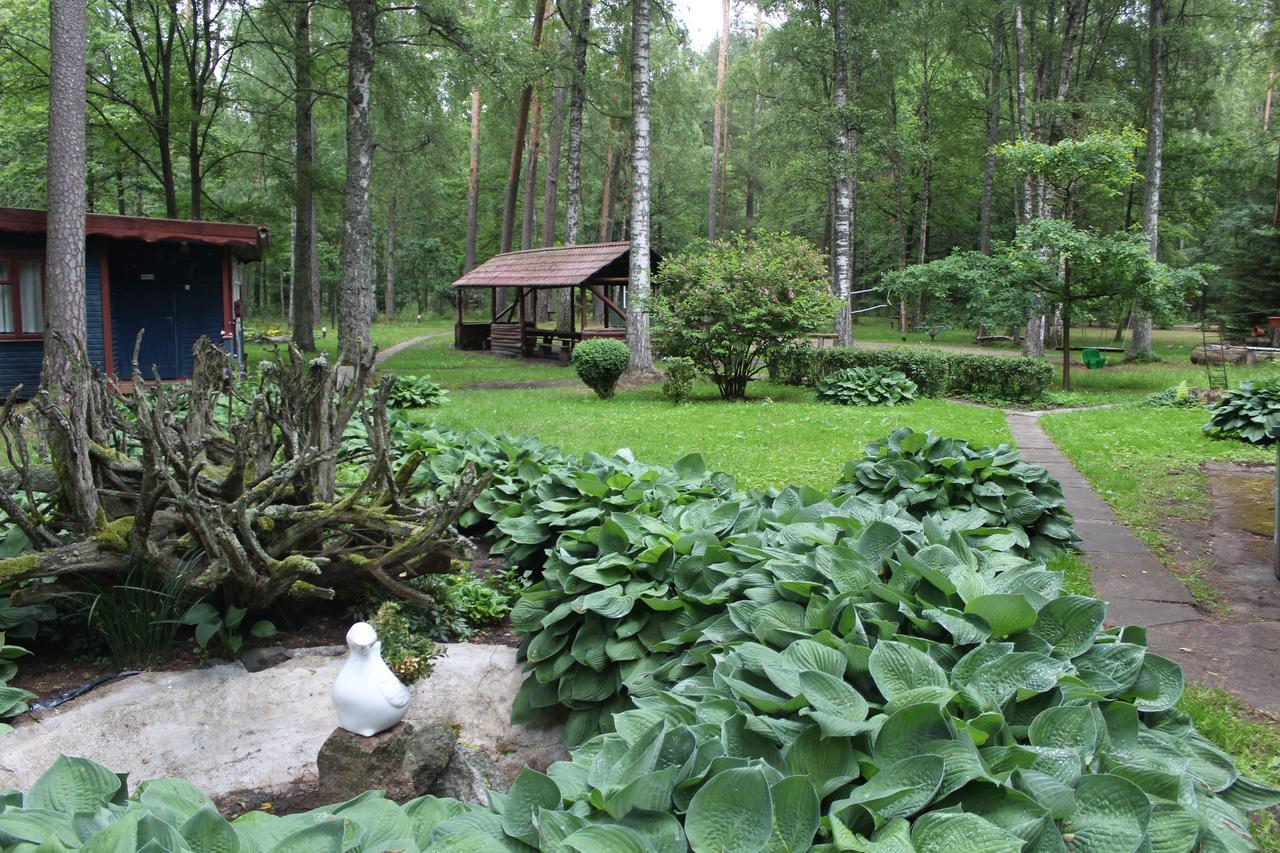Vila Asmonu Poilsiaviete Kinty Exteriér fotografie