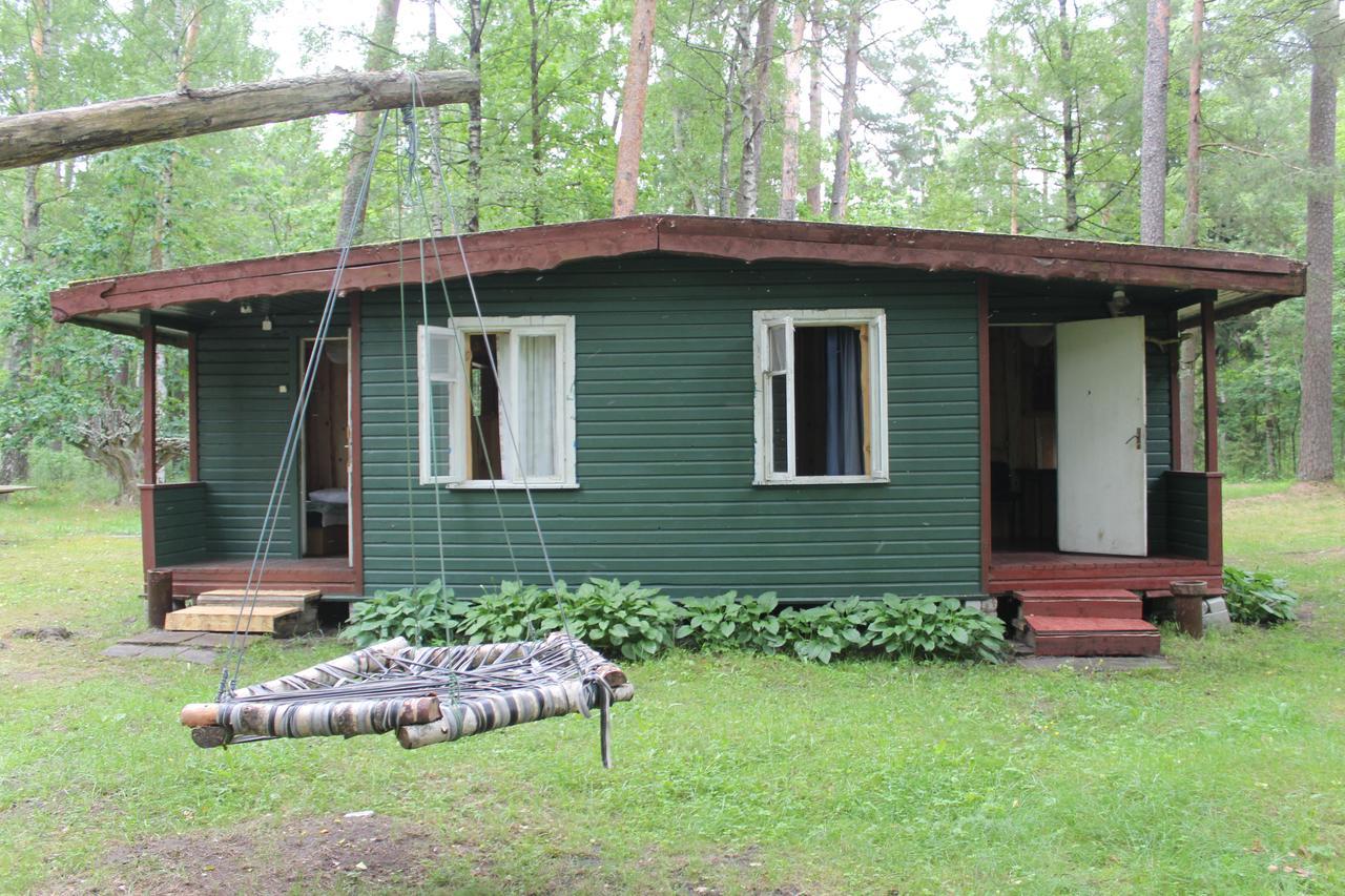 Vila Asmonu Poilsiaviete Kinty Exteriér fotografie