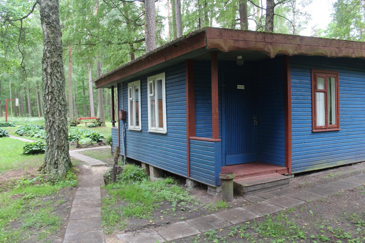 Vila Asmonu Poilsiaviete Kinty Exteriér fotografie